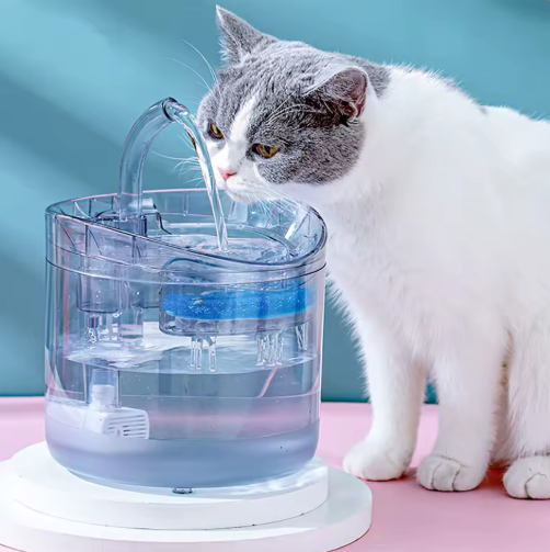 Fuente de agua para gatos y perros
